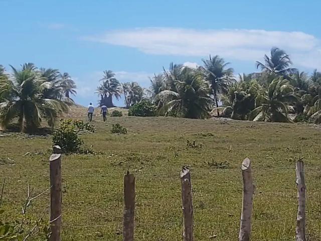 Terreno / Lote para Venda em Jandaíra/BA Litoral Norte