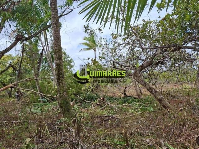Terreno / Lote para Venda em Jandaíra/BA Litoral Norte