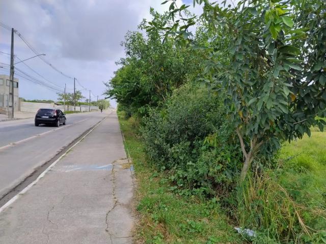 Terreno / Lote para Venda em Jaboatão dos Guararapes/PE Marcos Freire