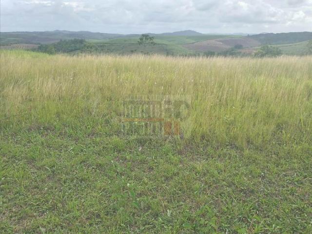 Terreno / Lote para Venda em Jaboatão dos Guararapes/PE Bulhões