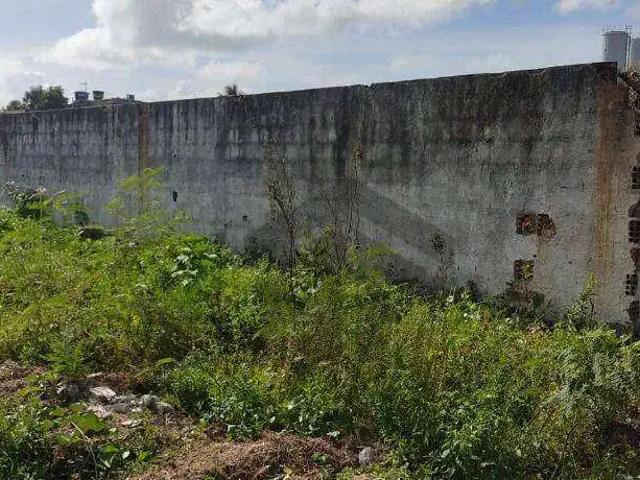 Terreno / Lote para Venda em Jaboatão dos Guararapes/PE Piedade