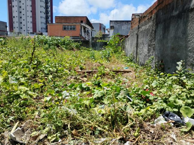 Terreno / Lote para Venda em Jaboatão dos Guararapes/PE Piedade