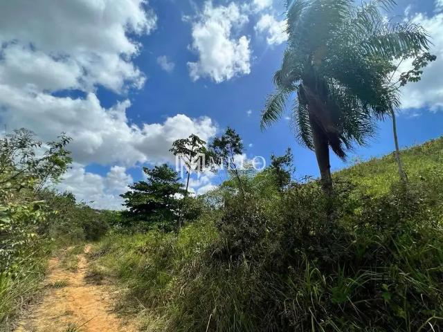 Terreno / Lote para Venda em Jaboatão dos Guararapes/PE Santo Aleixo