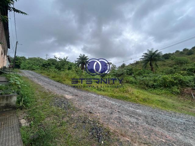 Terreno / Lote para Venda em Jaboatão dos Guararapes/PE Santo Aleixo