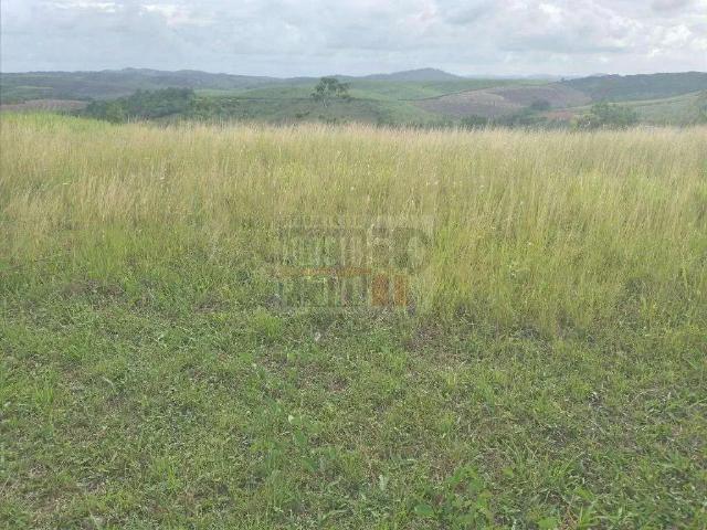 Terreno / Lote para Venda em Jaboatão dos Guararapes/PE Vargem Fria