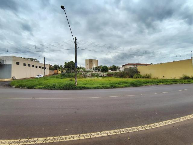 Terreno / Lote para Venda em Jaboticabal/SP Loteamento Colina Verde
