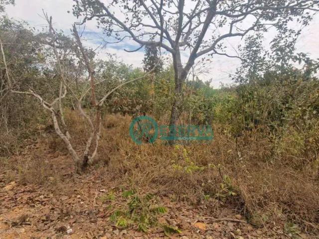 Terreno / Lote para Venda em Jaboticatubas/MG São José De Almeida