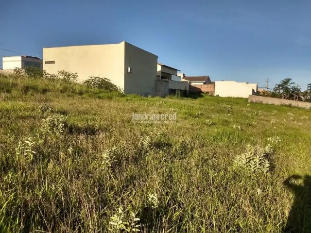 Terreno / Lote para Venda em Jacarezinho/PR Centro