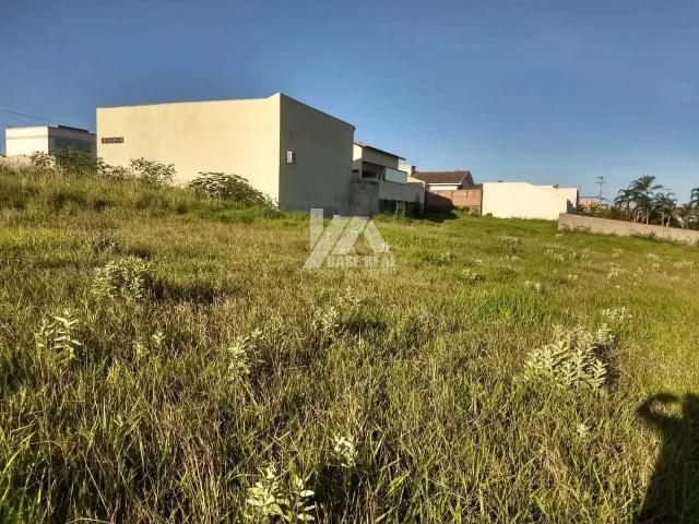 Terreno / Lote para Venda em Jacarezinho/PR Vila Ageo