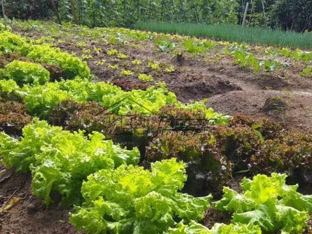 Terreno / Lote para Venda em Jacareí/SP Cidade Nova Jacareí