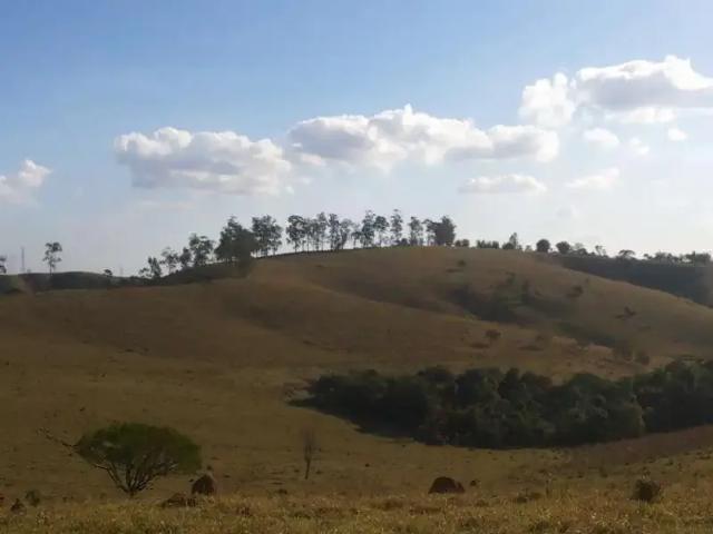 Terreno / Lote para Venda em Jacareí/SP Jardim Colinas