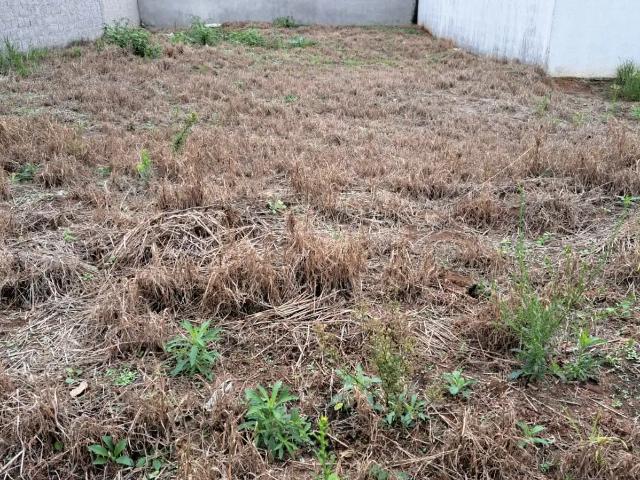 Terreno / Lote para Venda em Jacareí/SP Loteamento Villa Branca