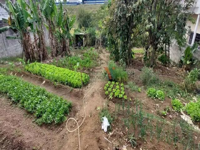 Terreno / Lote para Venda em Jacareí/SP Parque dos Príncipes