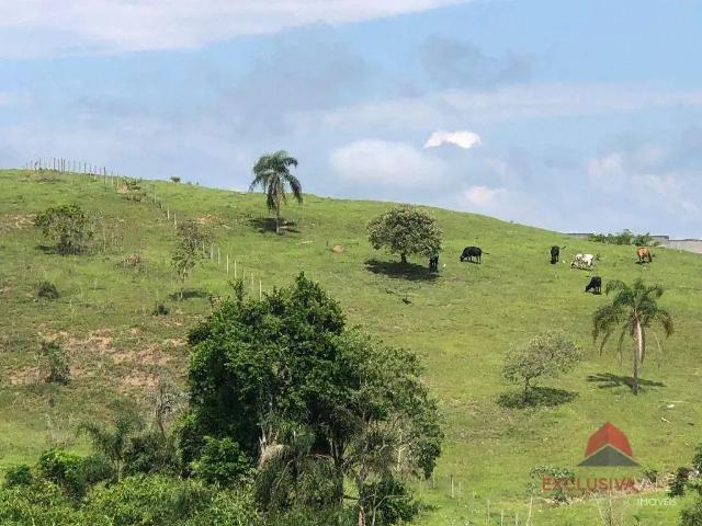 Terreno / Lote para Venda em Jacareí/SP Parque Residencial Jequitibá