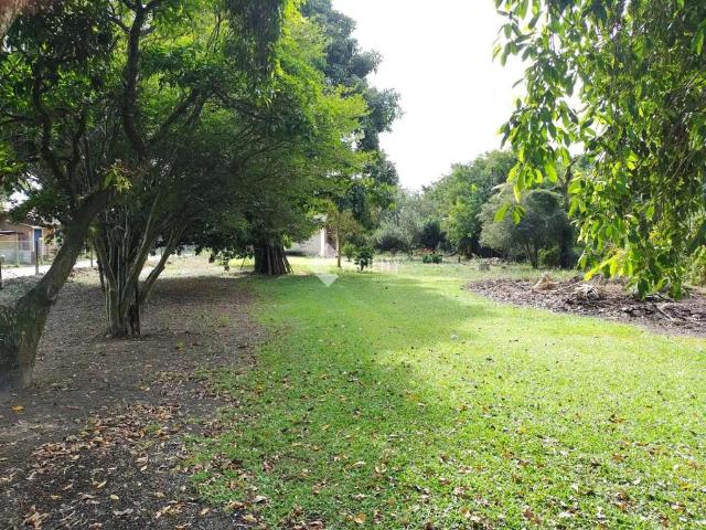 Terreno / Lote para Venda em Jaguariúna/SP Chácara Nossa Senhora Aparecida