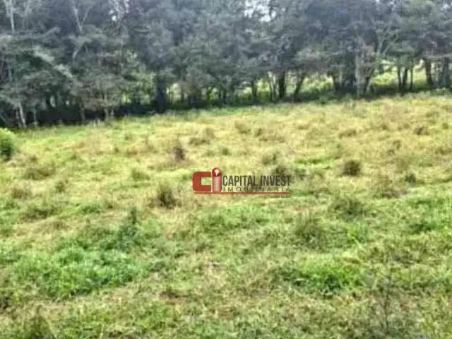 Terreno / Lote para Venda em Jaguariúna/SP Área Rural de Jaguariúna