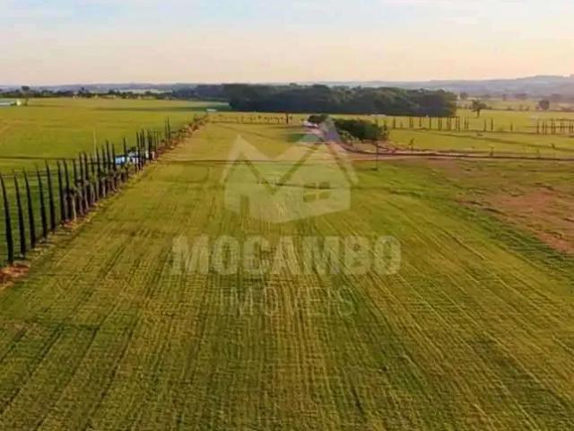 Terreno / Lote para Venda em Jaguariúna/SP Área Rural de Jaguariúna
