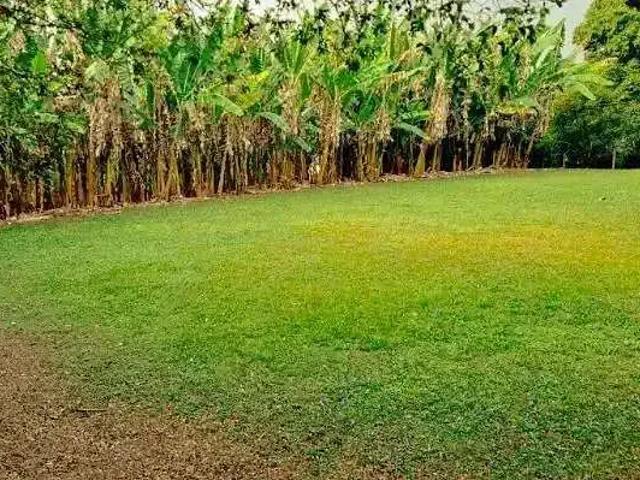 Terreno / Lote para Venda em Jaguariúna/SP Tanquinho Velho