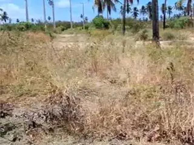 Terreno / Lote para Venda em Japaratinga/AL Centro
