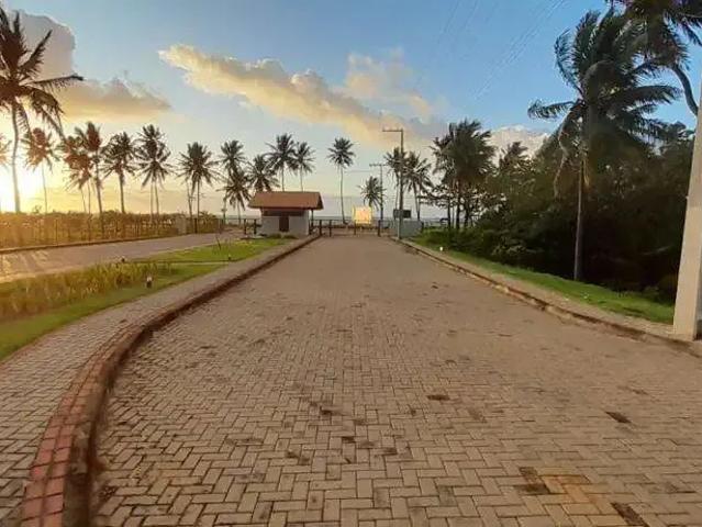 Terreno / Lote para Venda em Japaratinga/AL Centro