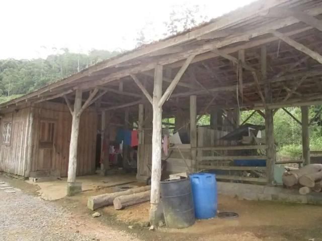 Terreno / Lote para Venda em Jaraguá do Sul/SC Nereu Ramos 2 Quartos