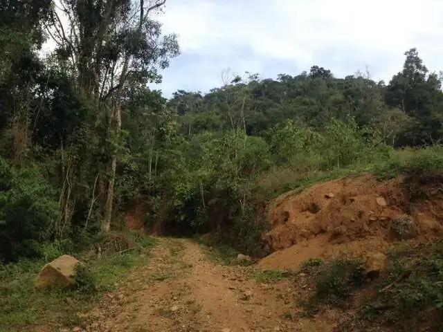 Terreno / Lote para Venda em Jaraguá do Sul/SC Amizade