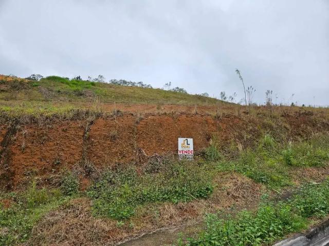 Terreno / Lote para Venda em Jaraguá do Sul/SC Amizade