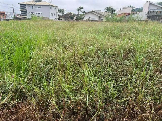 Terreno / Lote para Venda em Jaraguá do Sul/SC Amizade