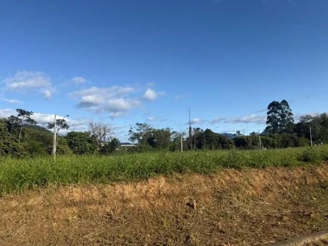 Terreno / Lote para Venda em Jaraguá do Sul/SC Amizade