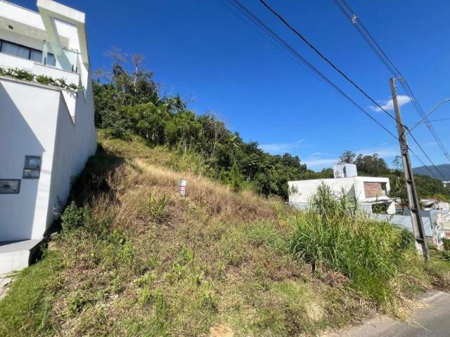 Terreno / Lote para Venda em Jaraguá do Sul/SC Amizade