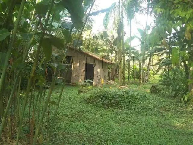 Terreno / Lote para Venda em Jaraguá do Sul/SC Baependi