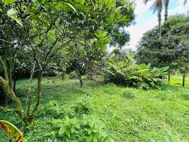 Terreno / Lote para Venda em Jaraguá do Sul/SC Baependi