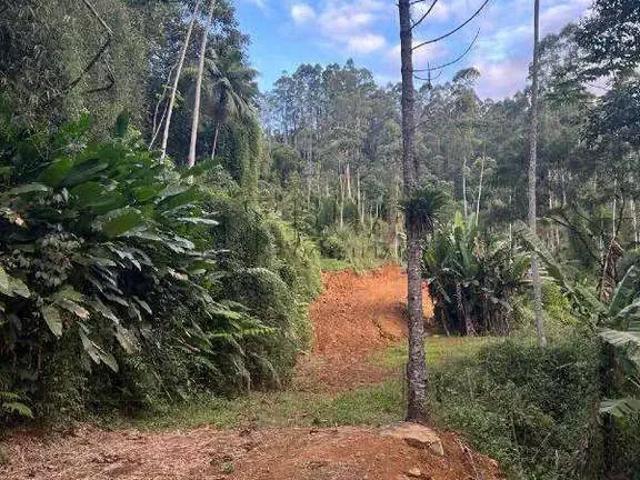 Terreno / Lote para Venda em Jaraguá do Sul/SC Barra do Rio Cerro