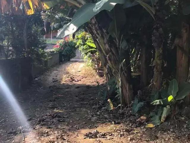 Terreno / Lote para Venda em Jaraguá do Sul/SC Centro