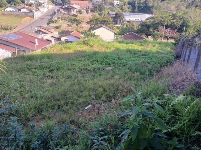 Terreno / Lote para Venda em Jaraguá do Sul/SC Chico de Paulo