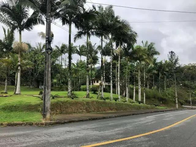 Terreno / Lote para Venda em Jaraguá do Sul/SC Chico de Paulo