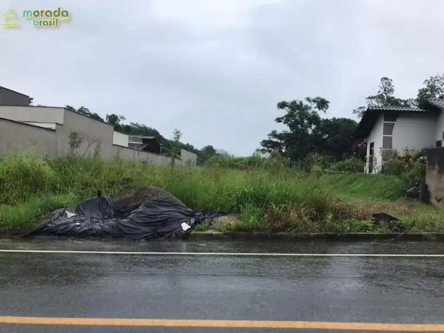 Terreno / Lote para Venda em Jaraguá do Sul/SC Chico de Paulo
