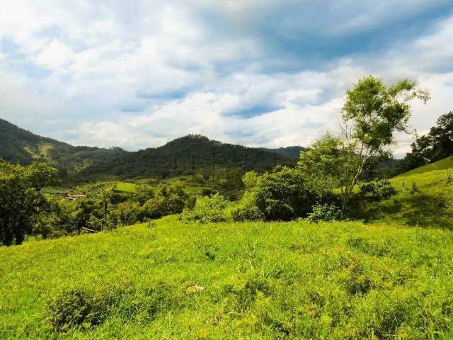 Terreno / Lote para Venda em Jaraguá do Sul/SC Garibaldi