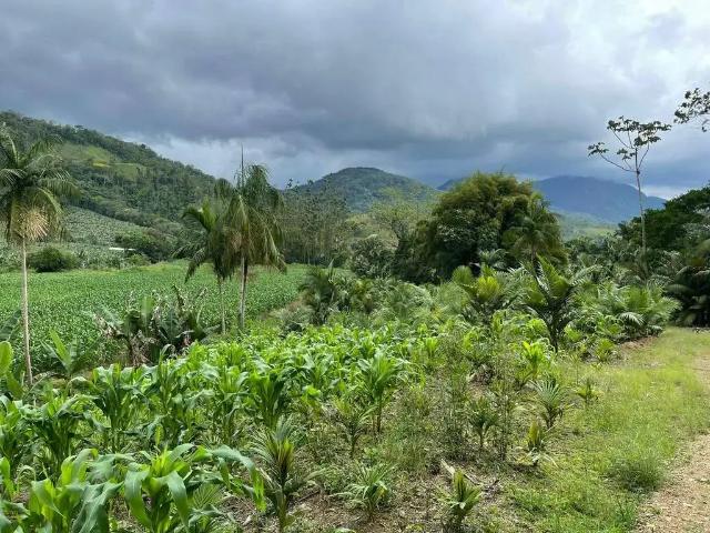 Terreno / Lote para Venda em Jaraguá do Sul/SC Garibaldi