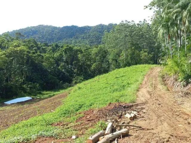 Terreno / Lote para Venda em Jaraguá do Sul/SC Garibaldi