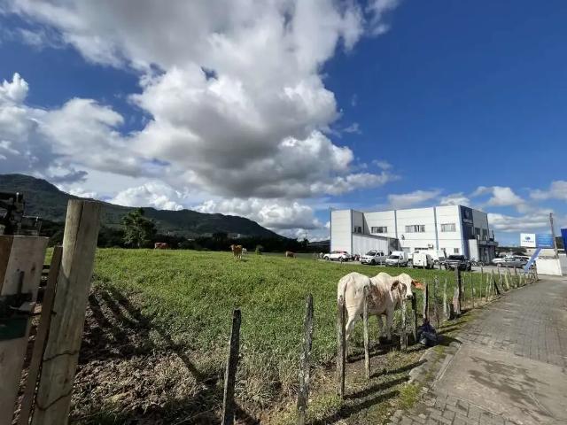 Terreno / Lote para Venda em Jaraguá do Sul/SC Ilha da Figueira