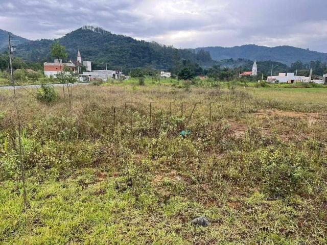 Terreno / Lote para Venda em Jaraguá do Sul/SC Jaraguá 84