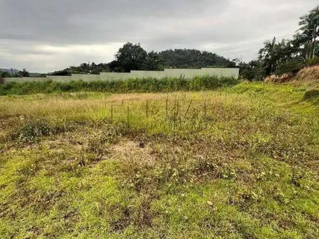 Terreno / Lote para Venda em Jaraguá do Sul/SC Jaraguá 84