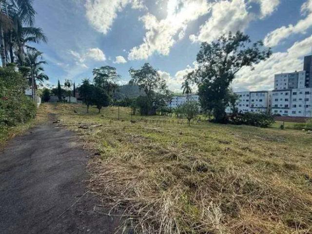 Terreno / Lote para Venda em Jaraguá do Sul/SC Jaraguá 99