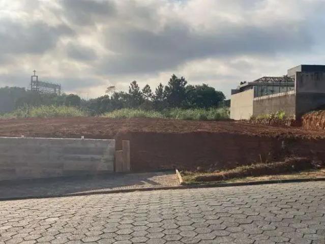 Terreno / Lote para Venda em Jaraguá do Sul/SC Jaraguá Esquerdo
