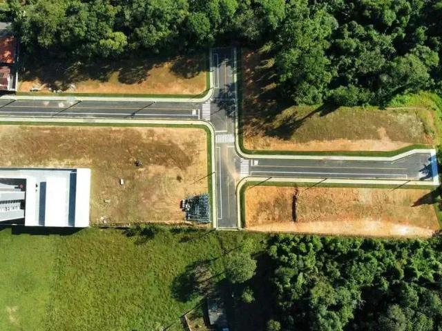 Terreno / Lote para Venda em Jaraguá do Sul/SC Rau