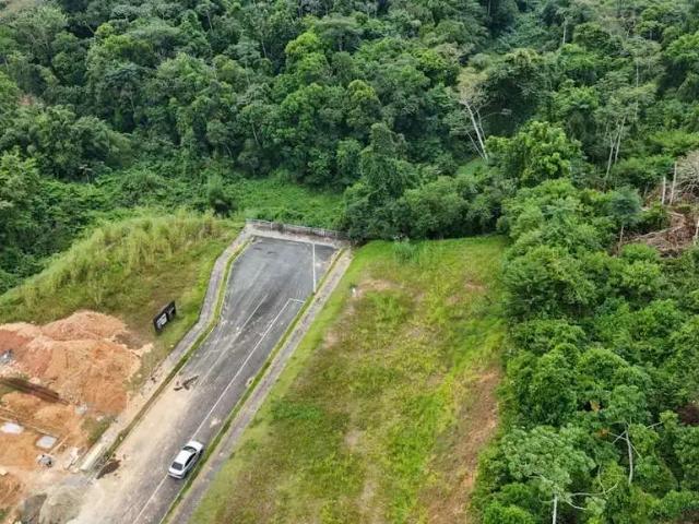 Terreno / Lote para Venda em Jaraguá do Sul/SC Rau