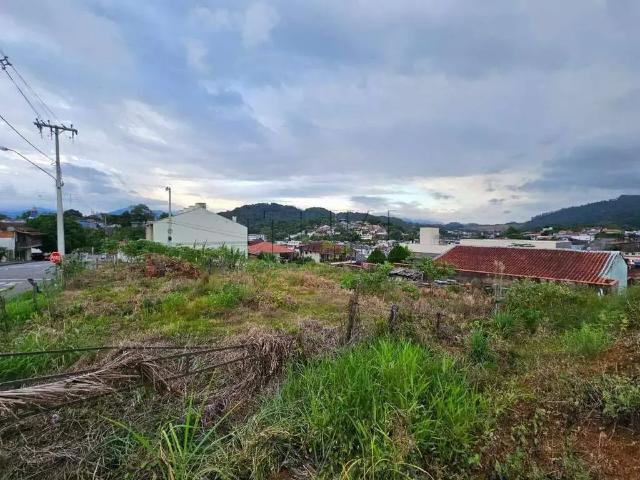 Terreno / Lote para Venda em Jaraguá do Sul/SC Rau