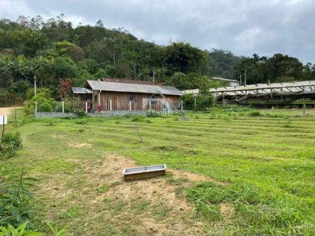 Terreno / Lote para Venda em Jaraguá do Sul/SC Rio Cerro I