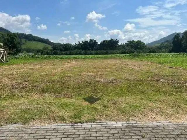 Terreno / Lote para Venda em Jaraguá do Sul/SC Rio da Luz